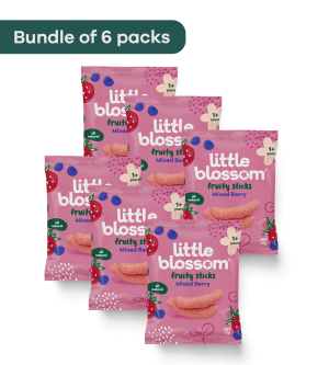 Fruity Sticks - Mixed Berry (Bundle of 6)